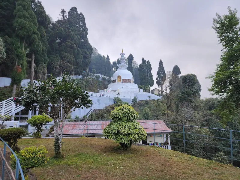 Buxa Tiger Reserve to Darjeeling Cab